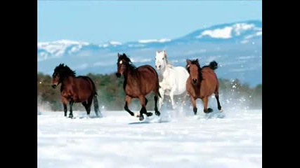 Natasha Bedingfield - Wild Horses