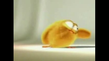 chick