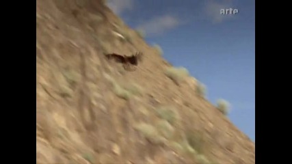 Хор Ангелите и мъжки вокален състав Хун - Хур - Ту - Планинска приказка 