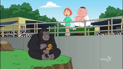 Питър сближава горила и бебе коте