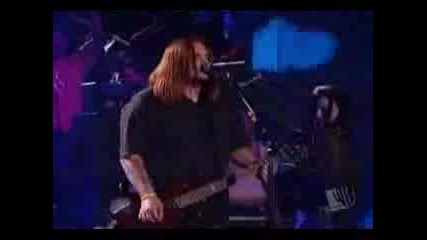 Amy Lee Ft. Seether - Broken ( Live )