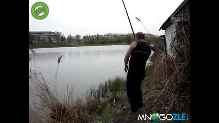 Коте лови риба на гюме