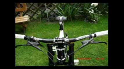 Scott - Gambler - Dh20