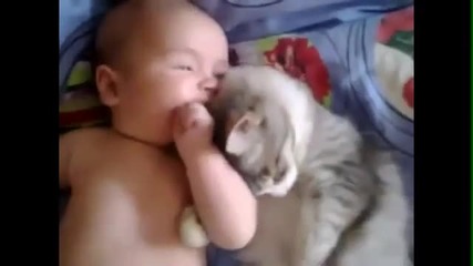 Коте гушка бебе