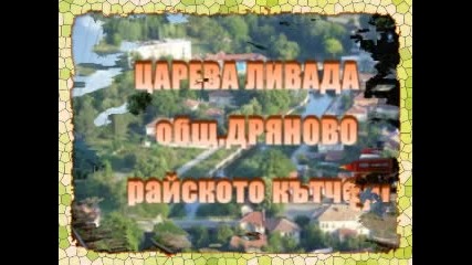 Dvdphoto Slideshow Profisional Project File Добруджанка - къща за одих - Царева Ливада общ.дряново п