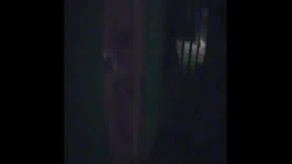Special Force Group in Action 