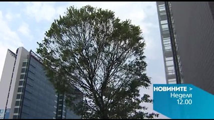В обедната емисия на Новините на Нова за 6 септември очаквайте