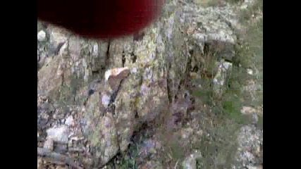 Video0545 
