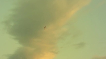 Mc Van - The bullet fly [ Official Video 2013] Produced.by Cool Art Image