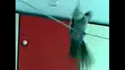 Pol.3gp