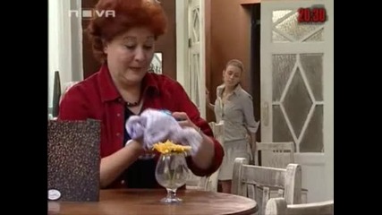 Забранена Любов 13