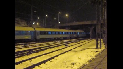 44111 Бвзр Диана 8641