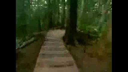Downhill Endless