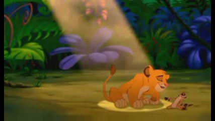 Lion King (hakuna matata)