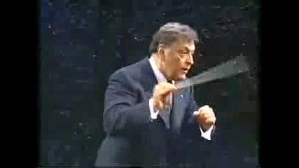 Flight of the bumblebee 