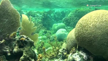 Underwater fireworks