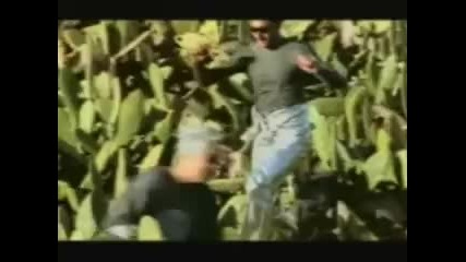 Basic Element - The Ride 