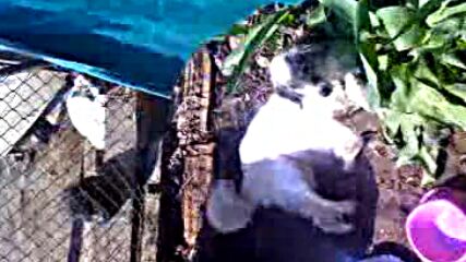 09-04-10_1055.3gp