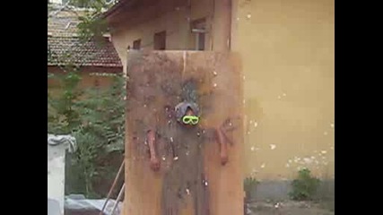 събор - царева ливада