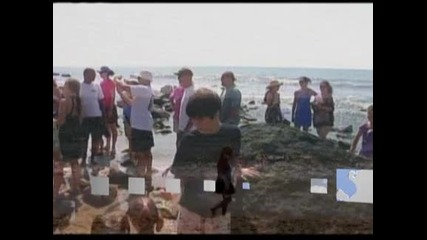 Морето изхвърли труп на голяма бяла акула край бреговете на Роуд Айлънд