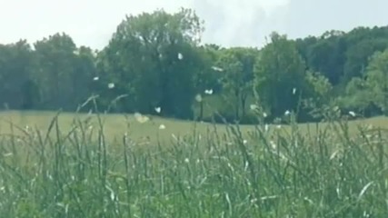 Secret Garden - Търсене на миналото