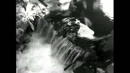 Deine Lakaien - Nightmare 