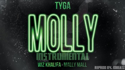Tyga - Molly (instrumental) ft Wiz Khalifa and Mally Mall
