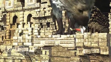 Project Trico - Playstation Lifestyle