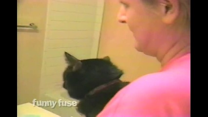 Коте със собствено мнение за къпането