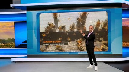 Прогноза за времето | Обедна емисия | 29 юни 2026