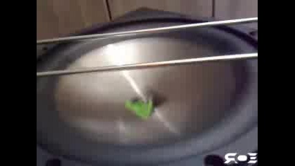 Bass