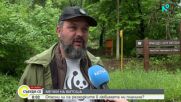 Мечки на Витоша: Опасни ли са разходките в любимата ни планина