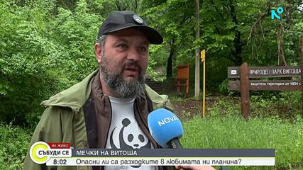 Мечки на Витоша: Опасни ли са разходките в любимата ни планина