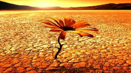 Matan Caspi - Desert Flower (oasis Mix)
