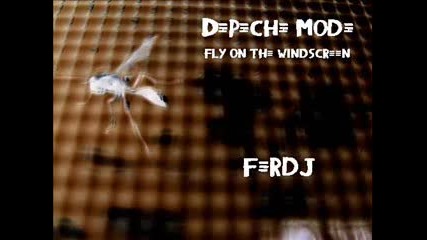 Depeche Mode - Fly on the windscreen 