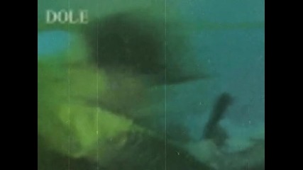 Dole - Satellite 