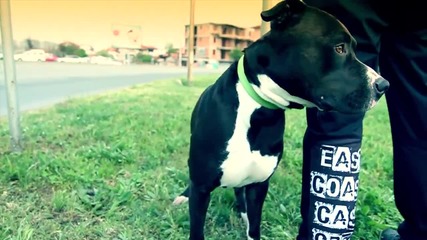 E.C.C.C. - BURGAS (Official video)