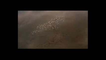 The Constant Gardener - El Jardinero Fiel