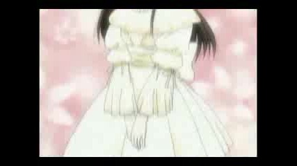 Fruits Basket - Amv