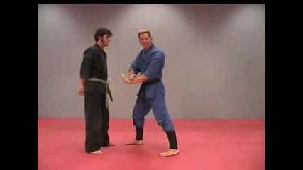 Rick Tew Ninjitsu Training