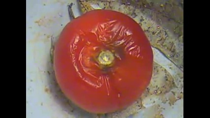 Time lapse tomato