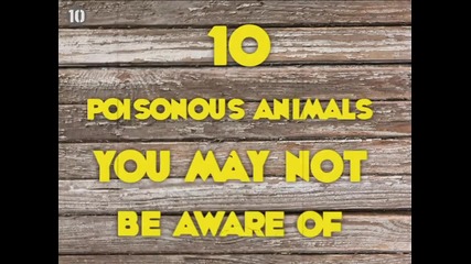 10-те отровни животни, които не са запознати