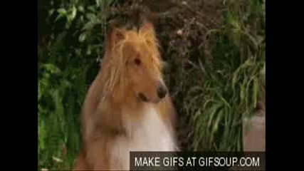 animacii na filmi na disni