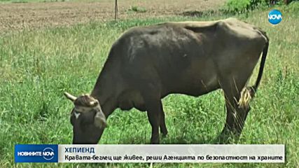 Новините на NOVA (11.06.2018 - централна емисия)