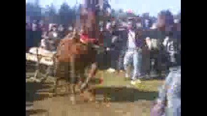 Mov02912