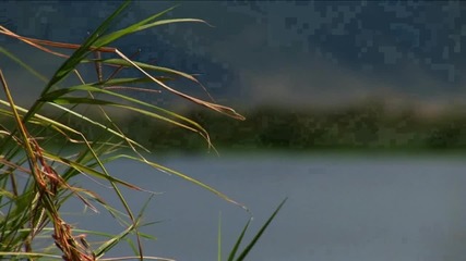 Природа и музика - Африка /част 4/