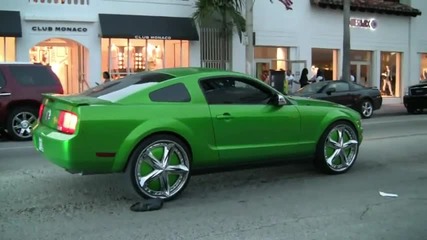 24 inch floaters on Miami Beach 
