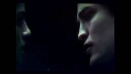 twilight