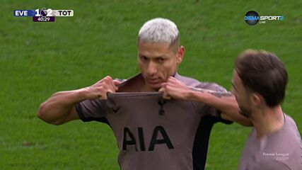 Tottenham Hotspur with a Spectacular Goal vs. Everton