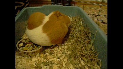 13 март 2010 - Мила (02)